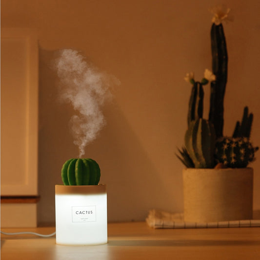 diffuser humidifier cactus 
